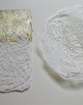 NAGANO FUMIKO glass works — news