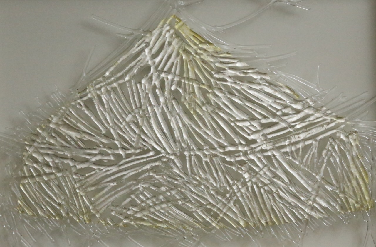  長野史子_fumiko_nagano 長野史子 fumiko nagano fumikonagano