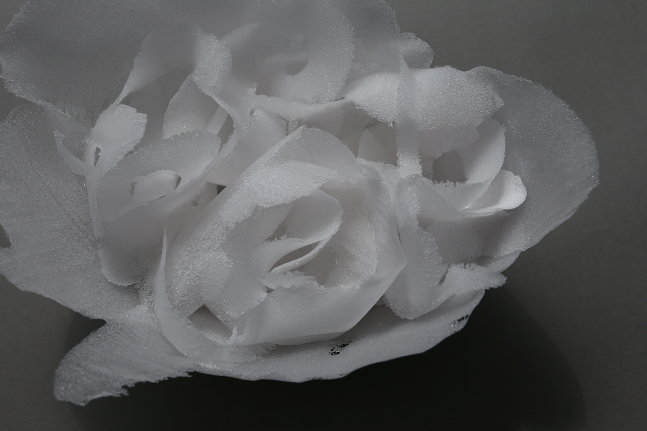  長野史子_fumikonagano_ 8518 長野史子_fumiko_nagano 長野史子 fumiko nagano fumikonagano