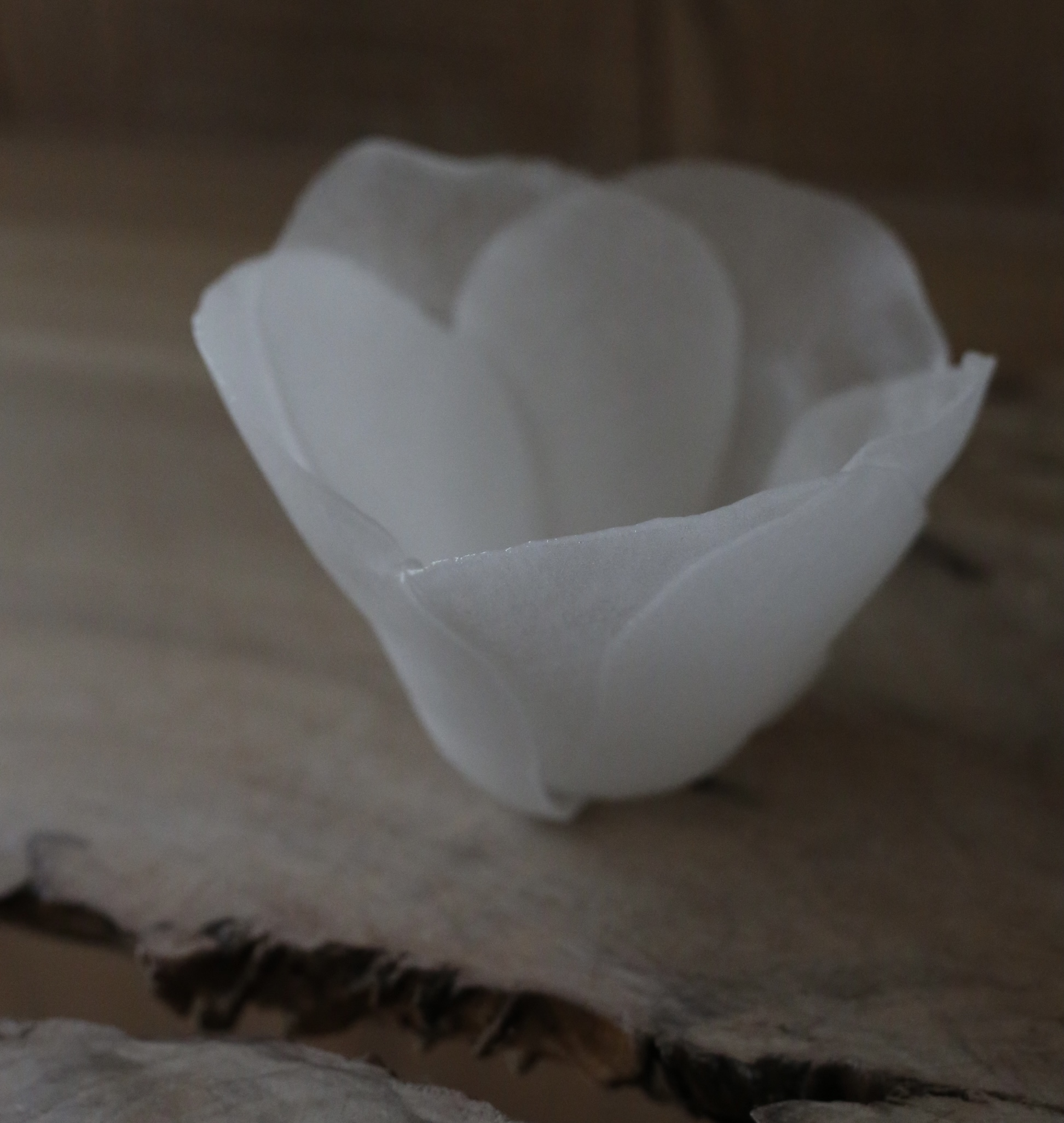  長野史子_fumiko_nagano 長野史子 fumiko nagano fumikonagano