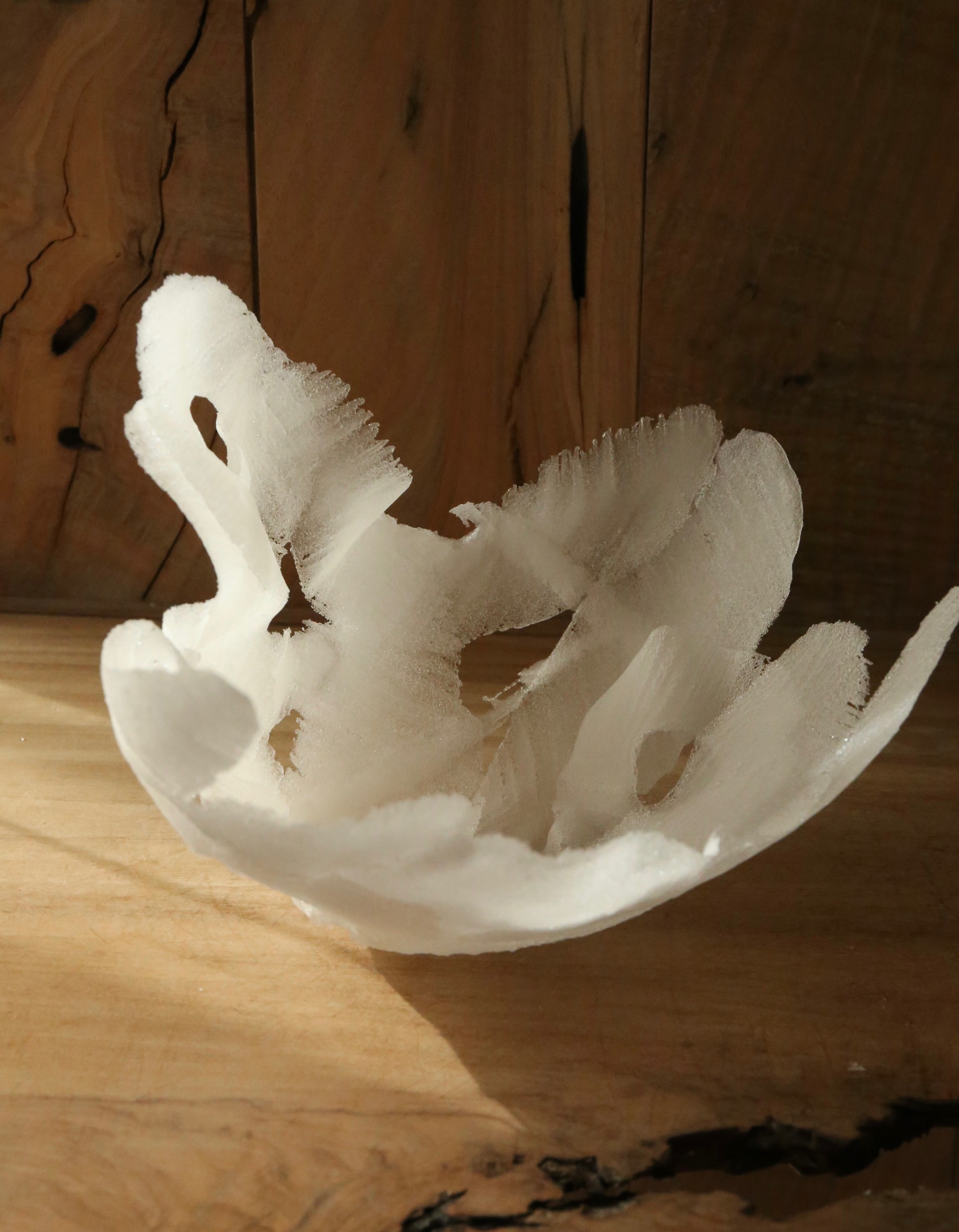  長野史子_fumiko_nagano 長野史子 fumiko nagano fumikonagano