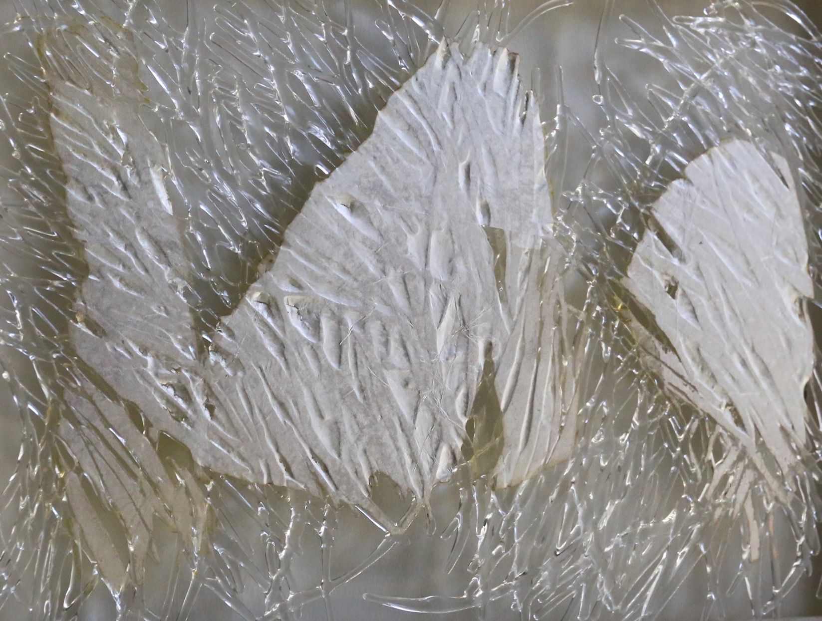  長野史子_fumiko_nagano 長野史子 fumiko nagano fumikonagano